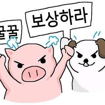 평범한개돼지010