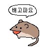 양갈