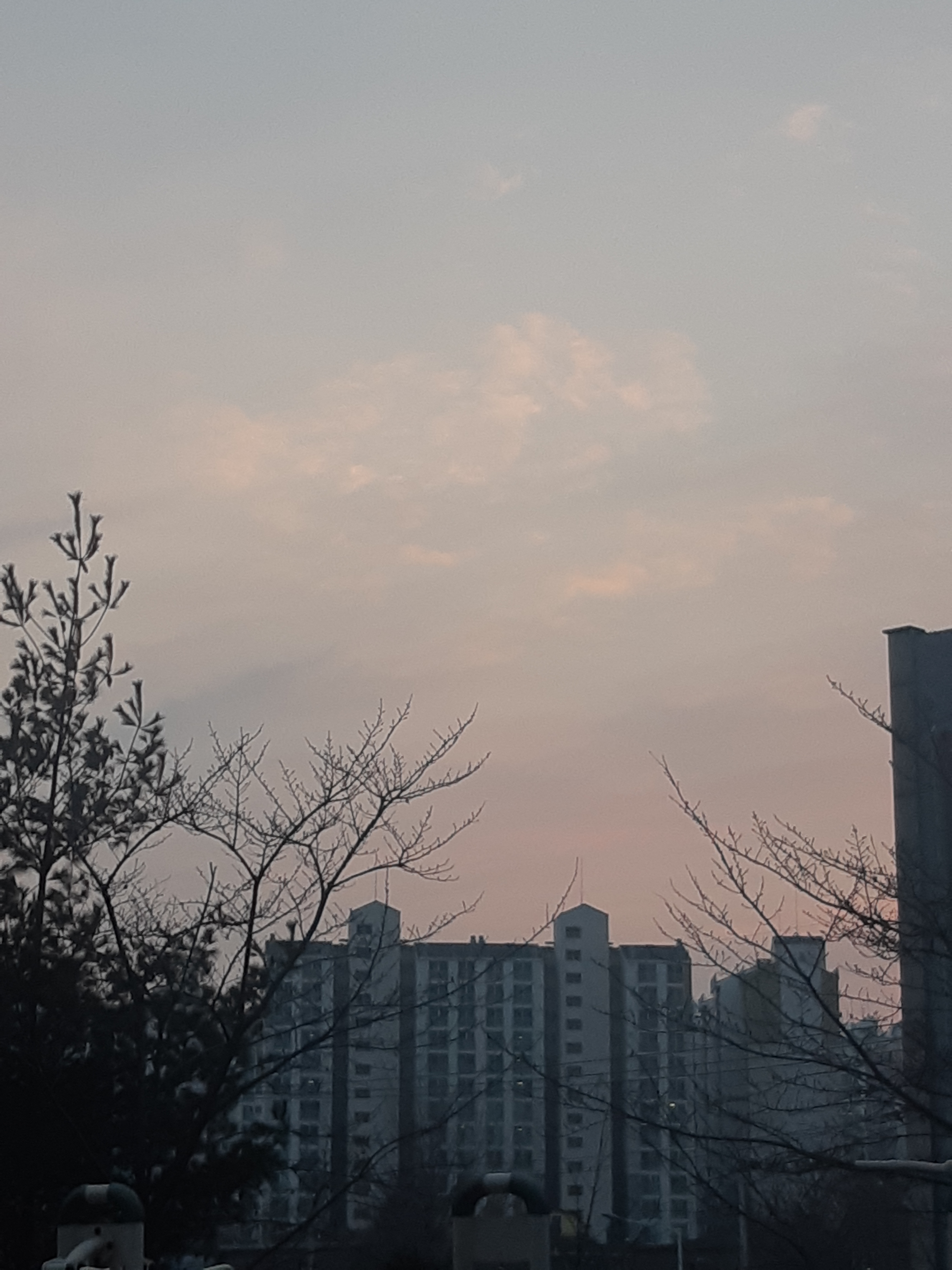 빛반별