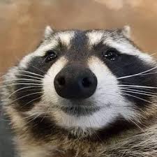 김뭉게