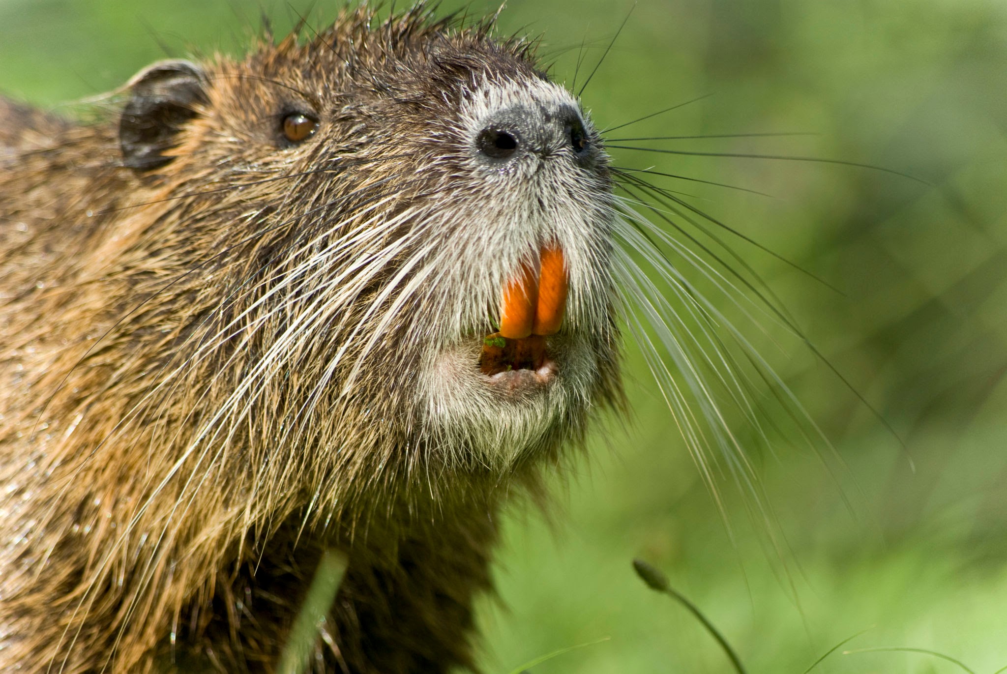 청소부쓰레기인간