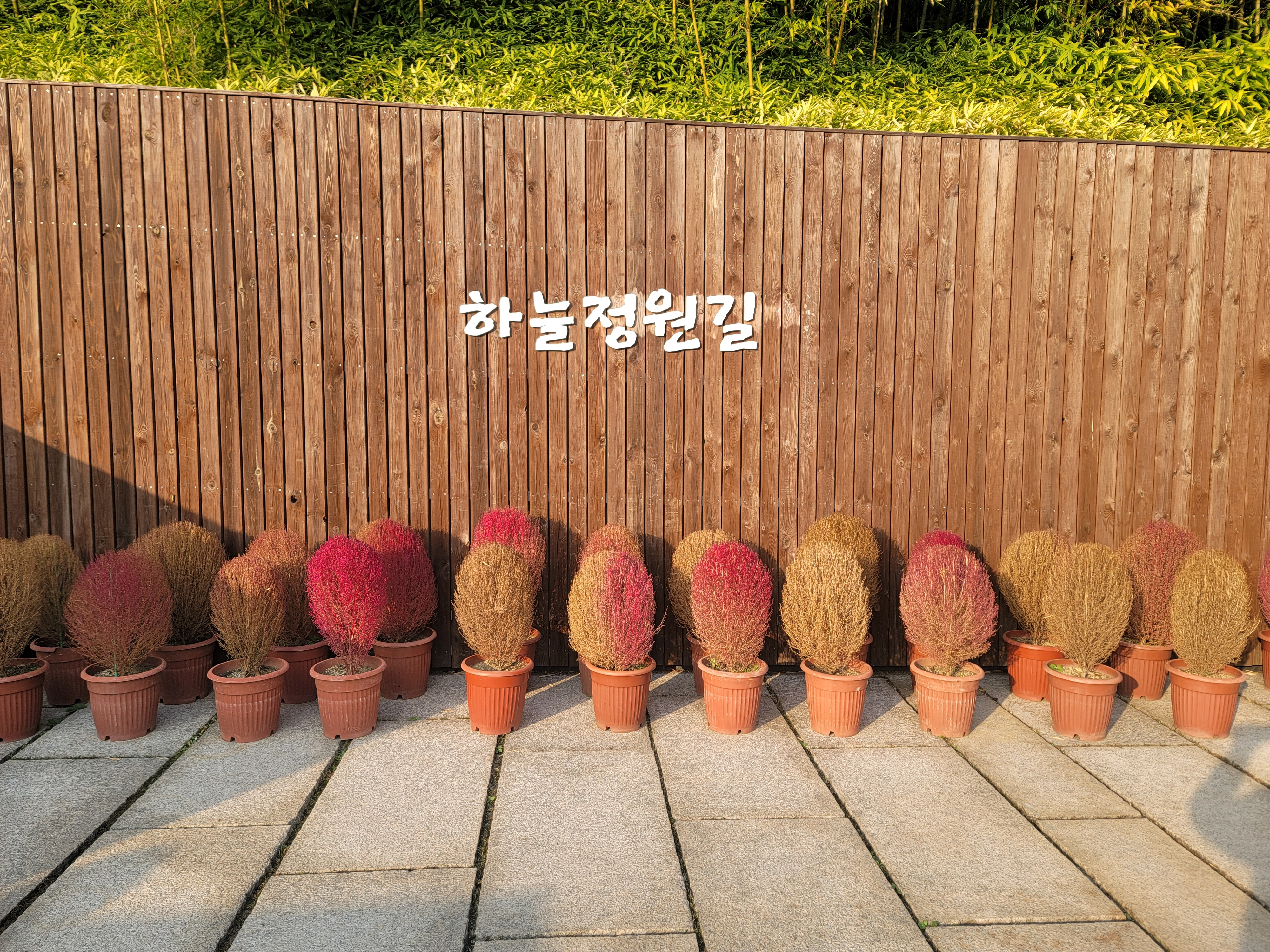 HYE2HO88