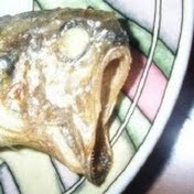 Mr Heo의 게임 찌리리