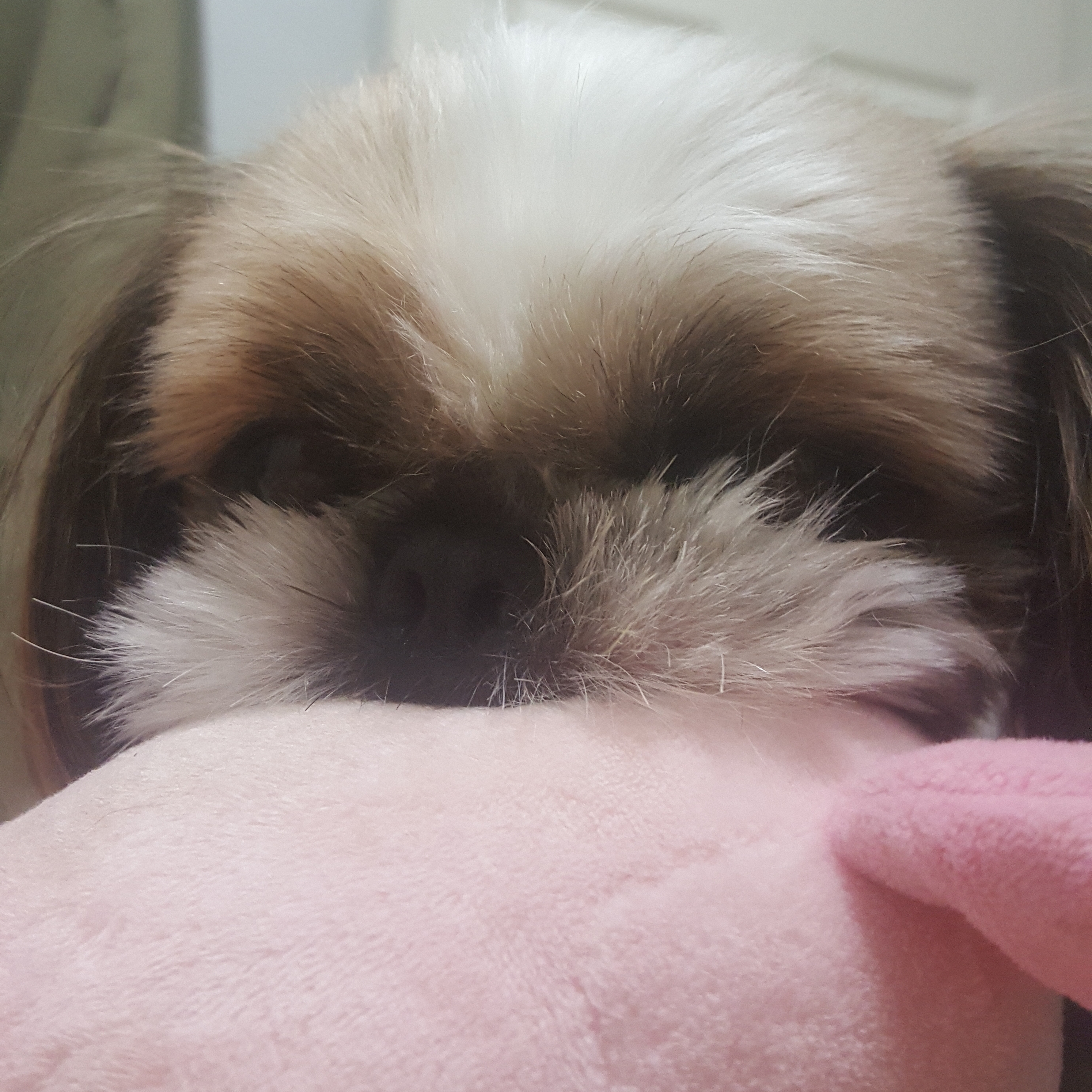 이게요