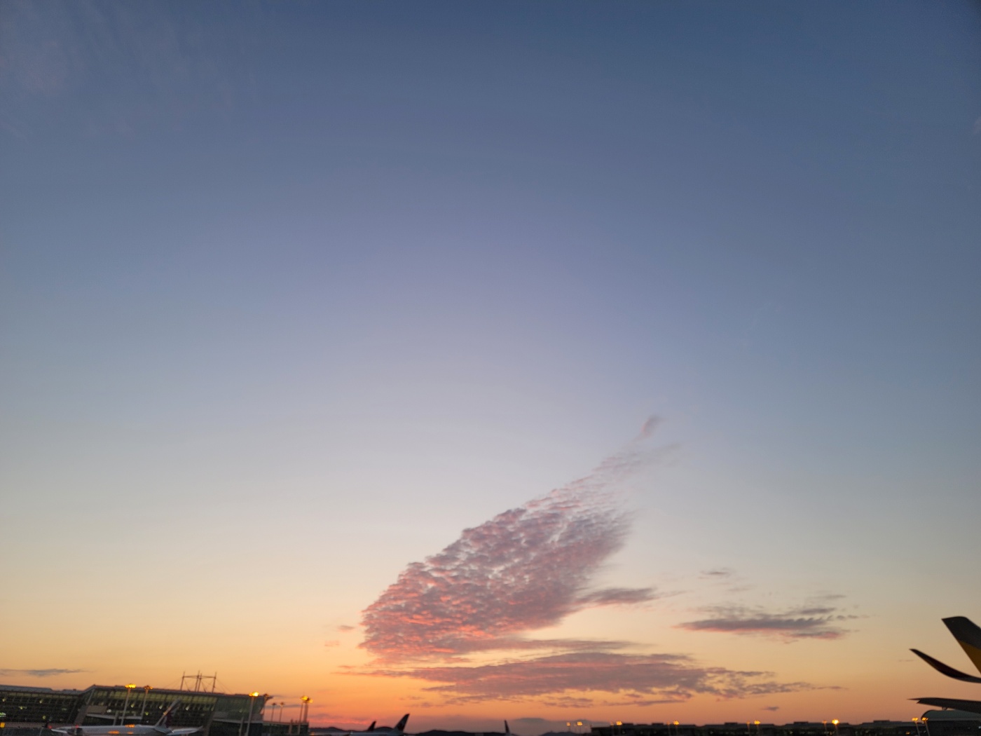 귀여운게최고인거같에