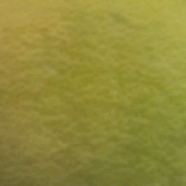 대왕레몬