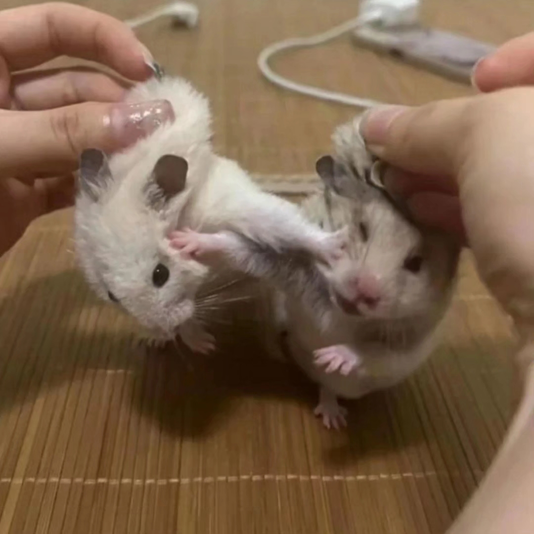먐믕