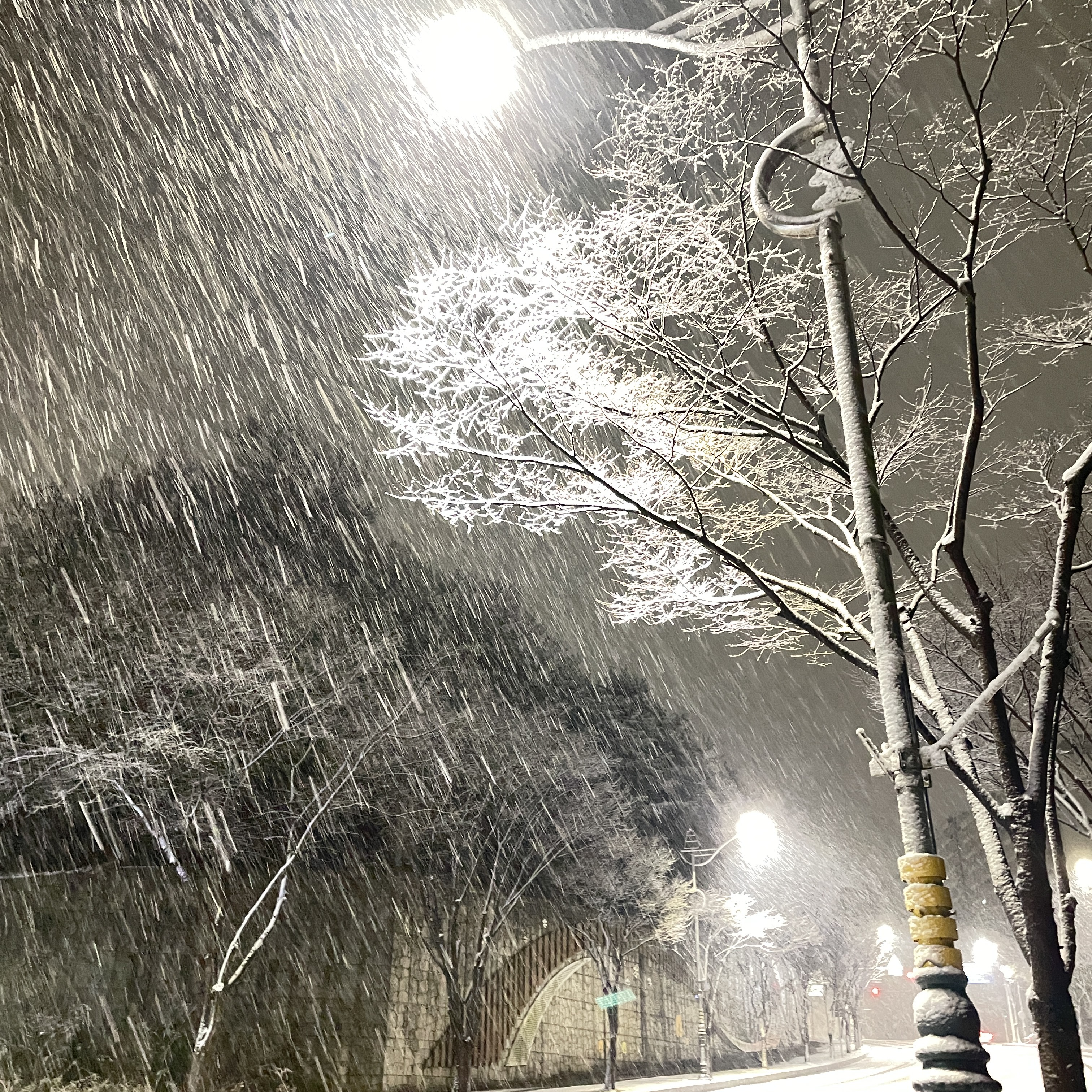 되겐냐