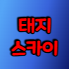 철권 태지스카이