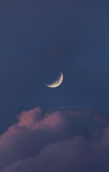 Mansi 채널 프로필