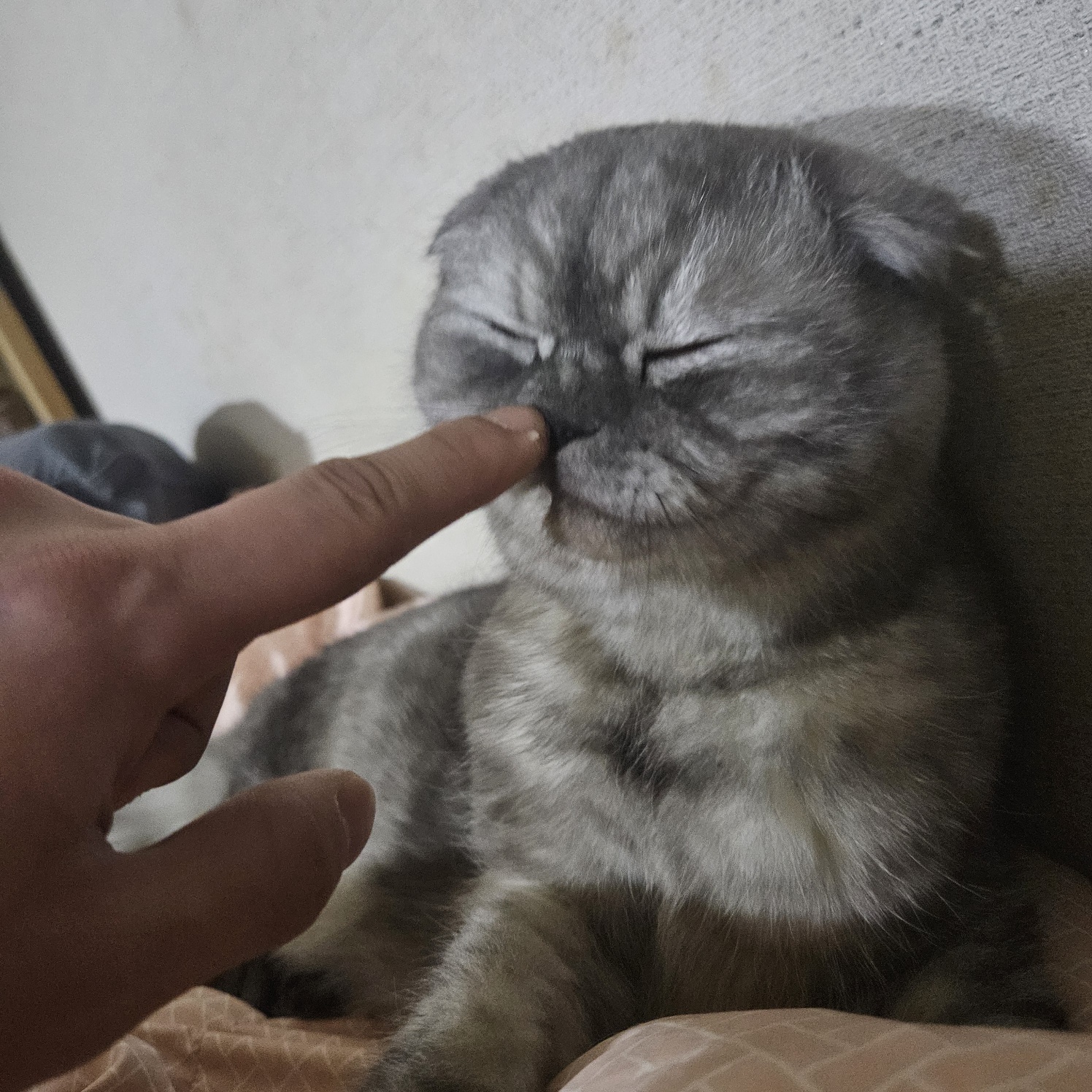 우엉엉징