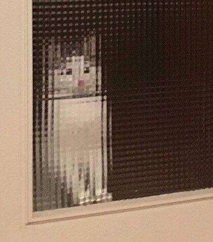 네모네모고양이