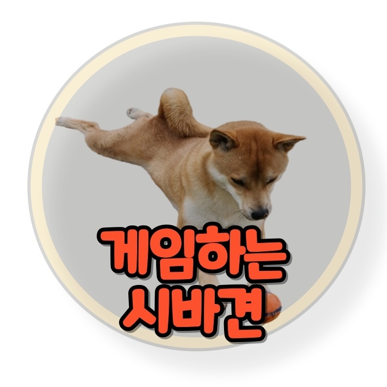 게임하는 시바견