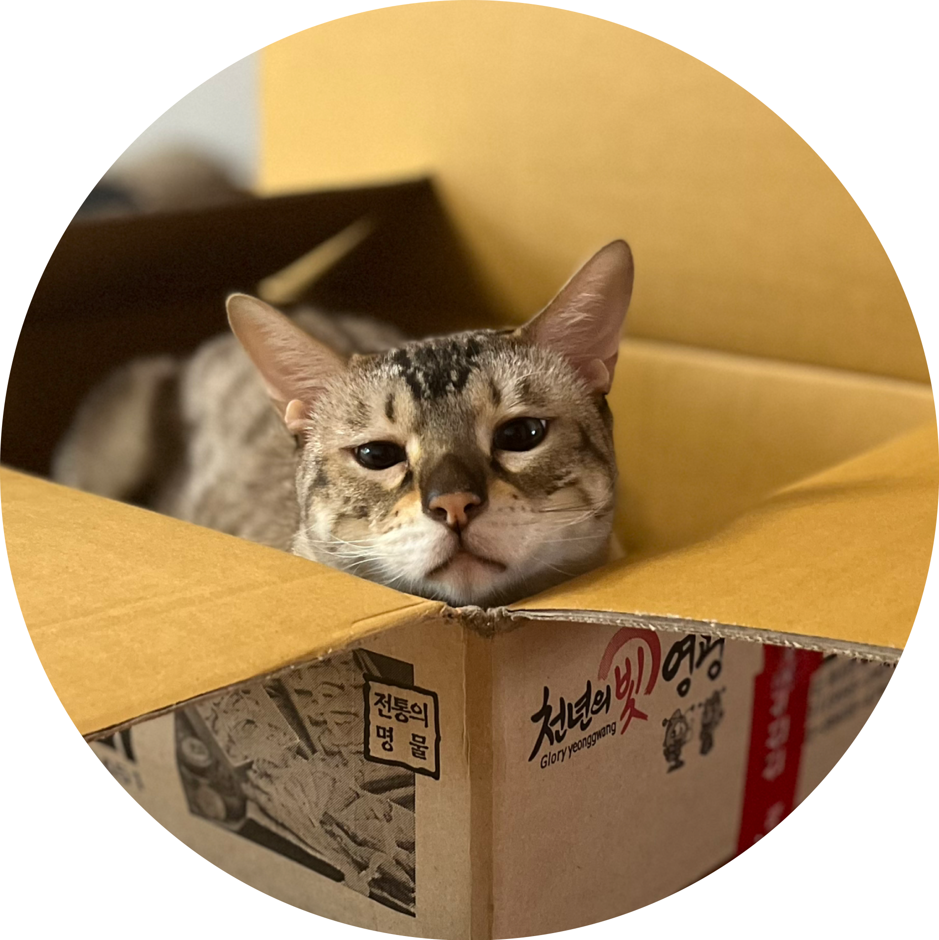 열정그리고냉정