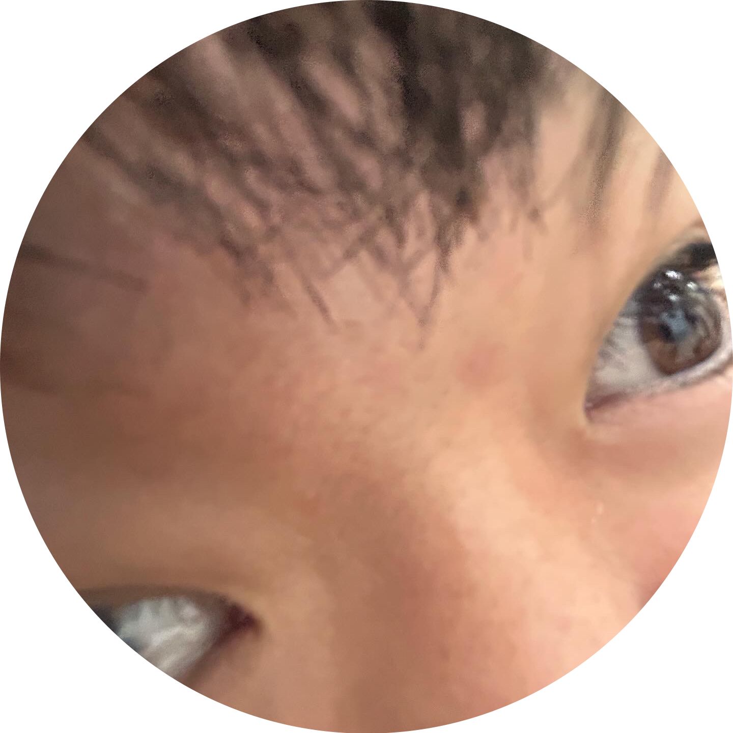 김된장