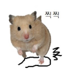 청주의떠돌이개