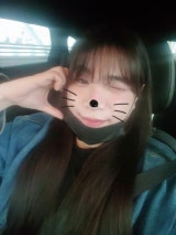 롤랜드고릴라김수향 채널 프로필