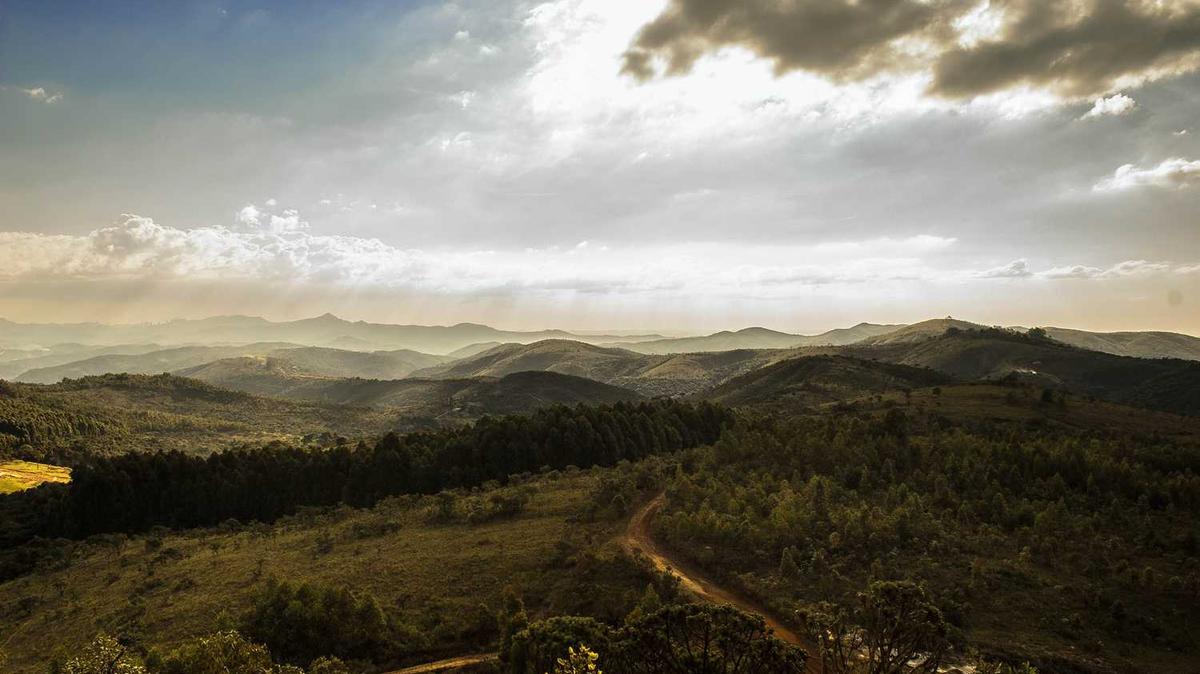 버스타는 검사 6477