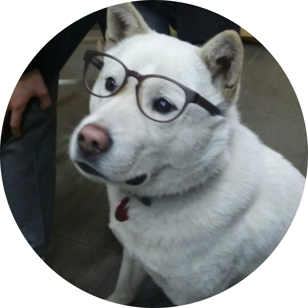 찬란한 하루