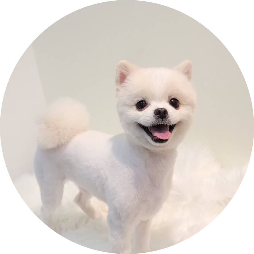 빠순이신입생친구