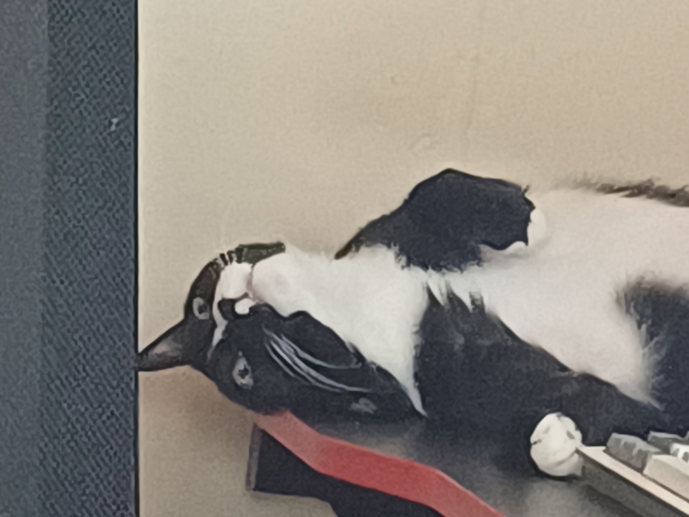 오로라91