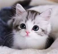 290만원받고싶은종수찡