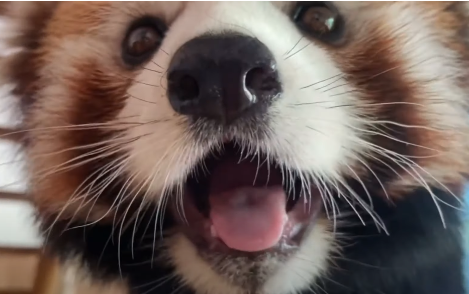 허어어어어어어어어얼