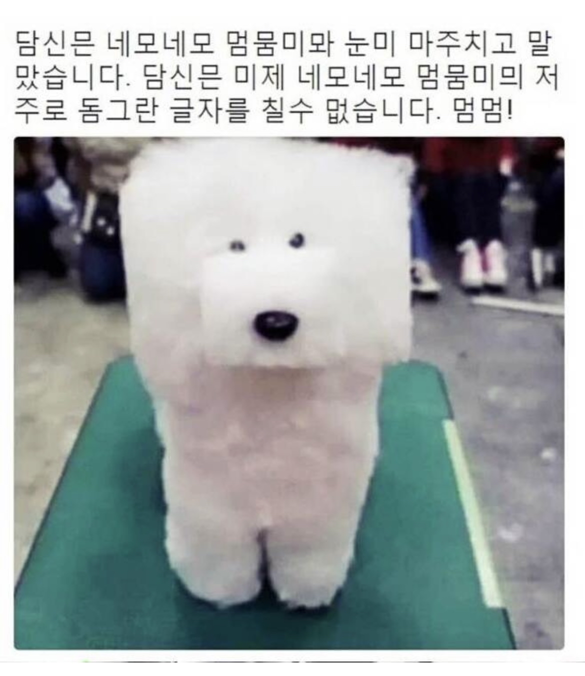 오일이oil