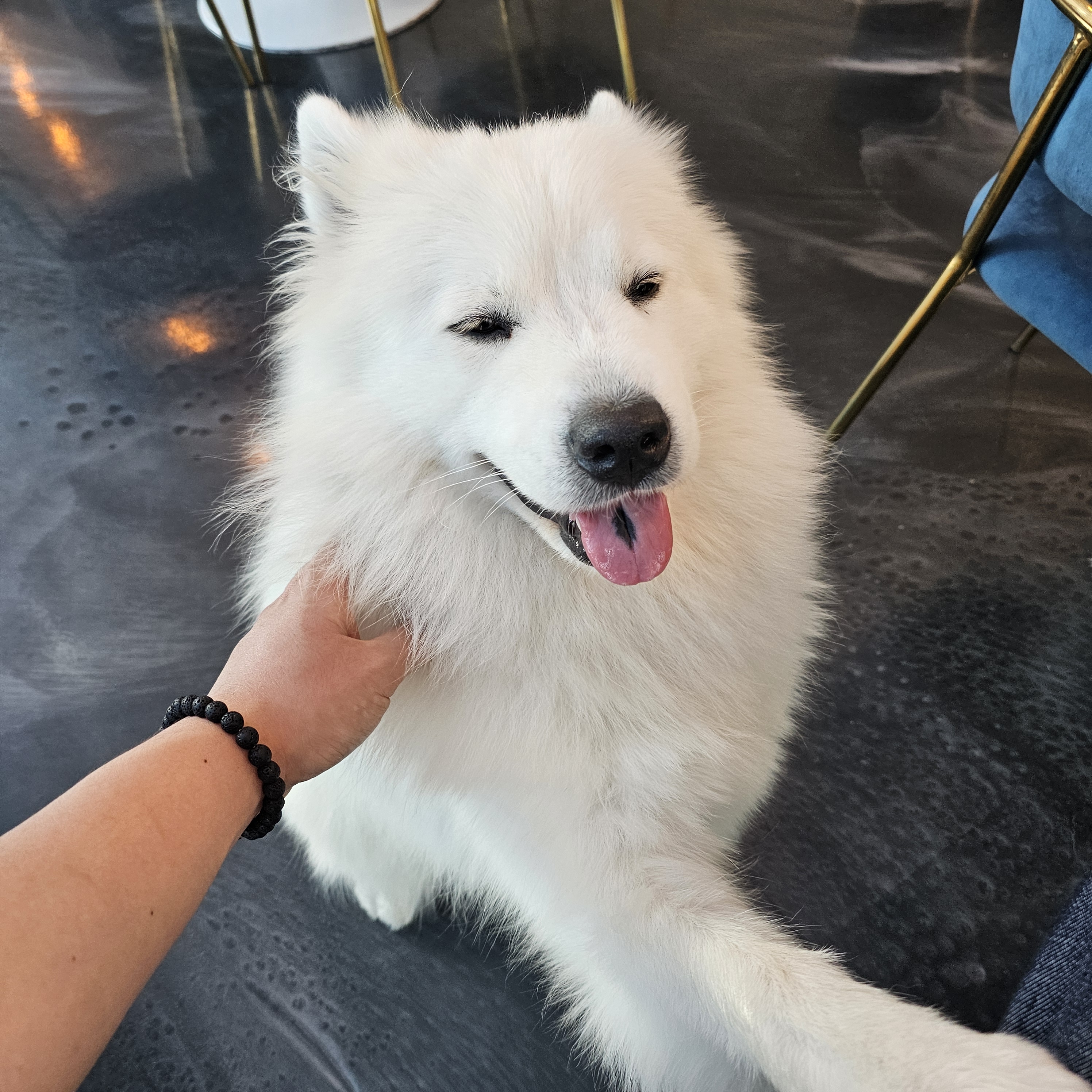 관악산밤도깨비