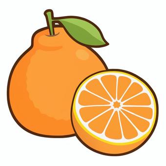 제주마씸의 게임방송