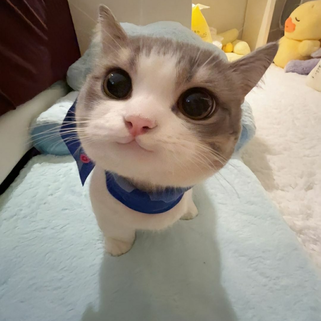 임아현