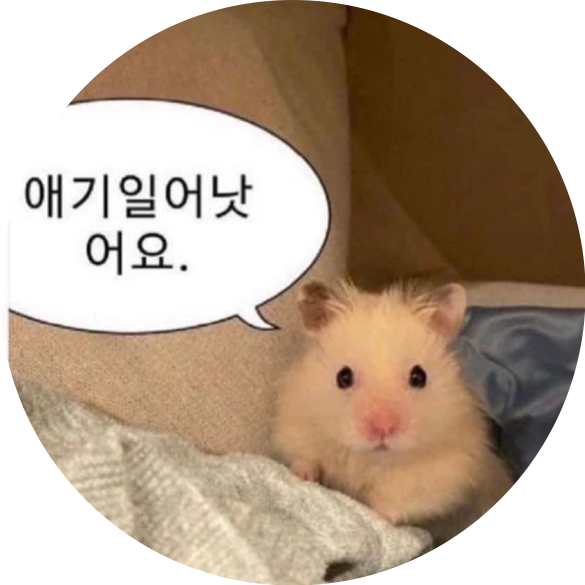 강미징
