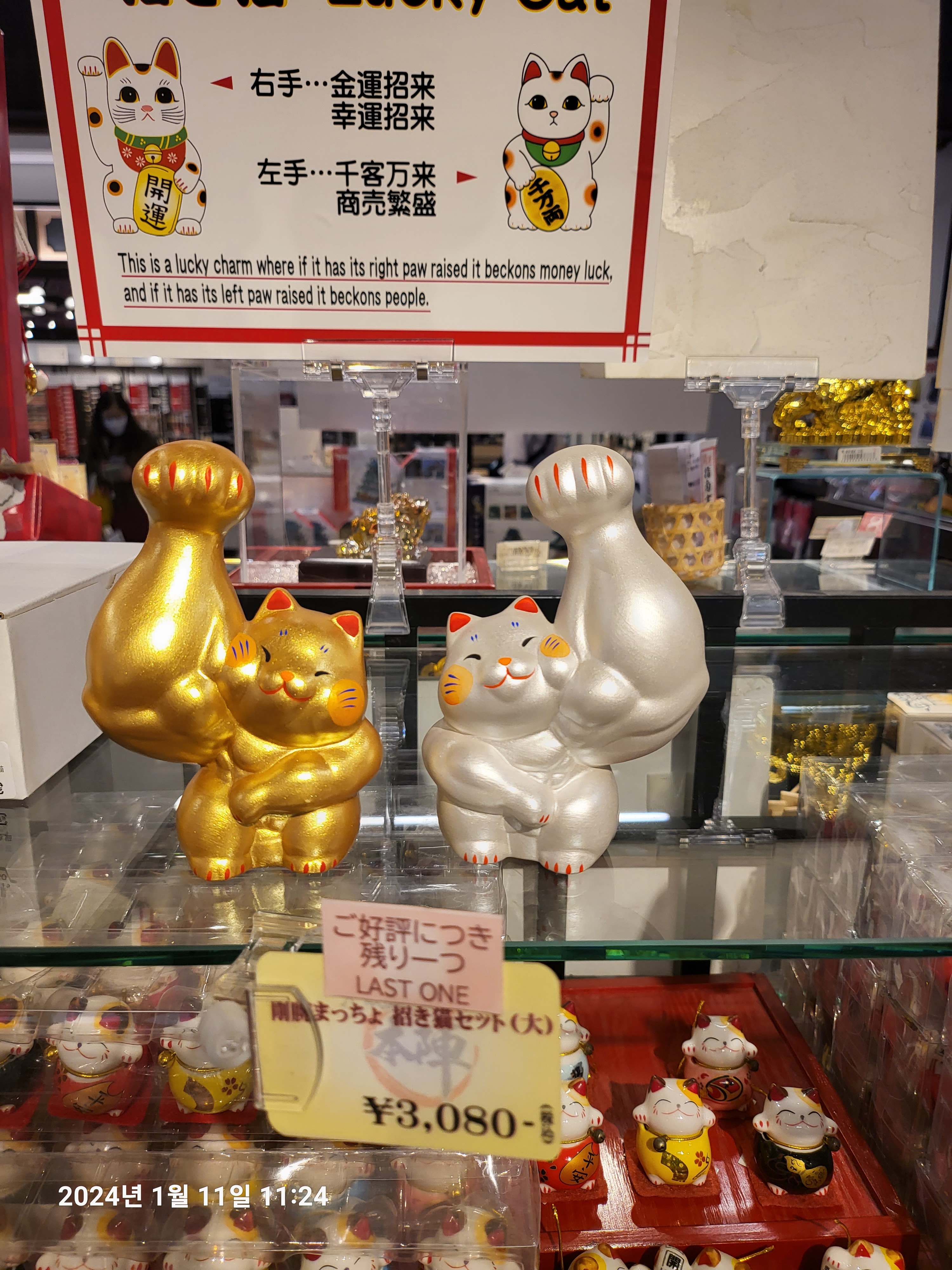 l잠냥이l