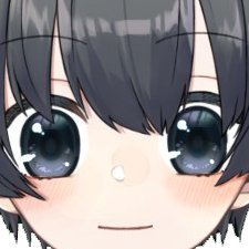 스트리머 프로필