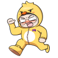 흑화한폭풍병아리