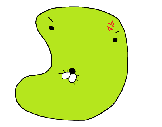 람머츠