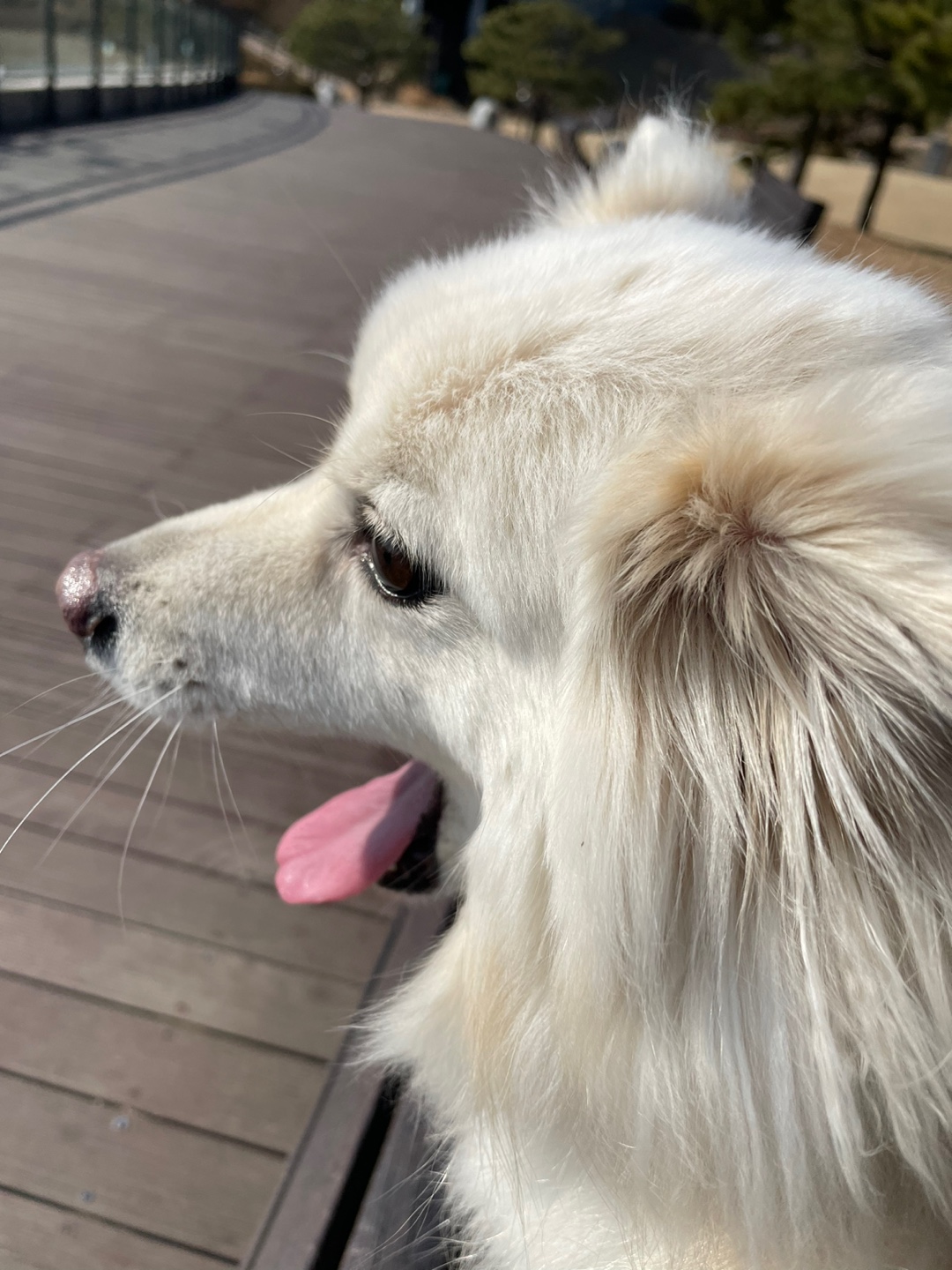 한잉터