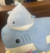 파란모자쓴사람 채널 프로필