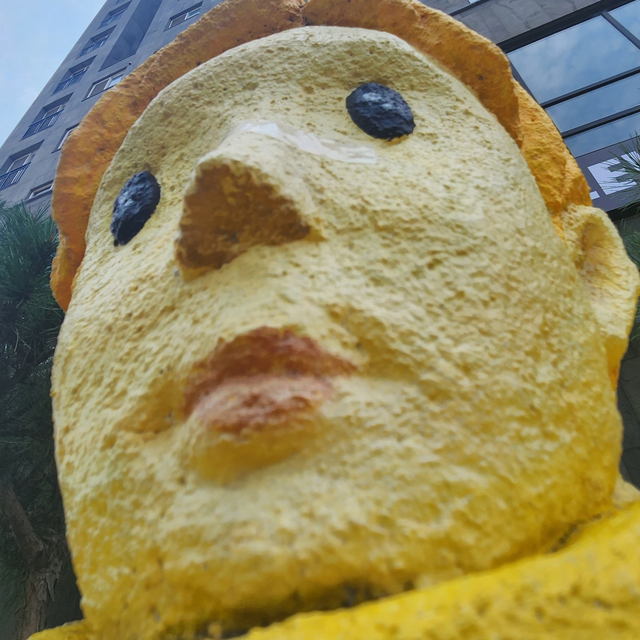 흰광