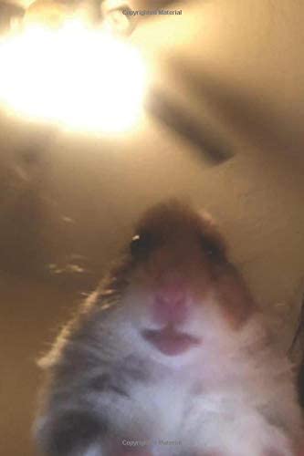 햄스터샌드위치