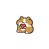 가짜티티 채널 프로필