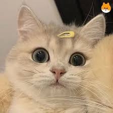 K와인