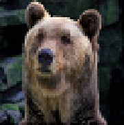 병곰