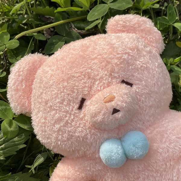 나쁜말양파에물주기