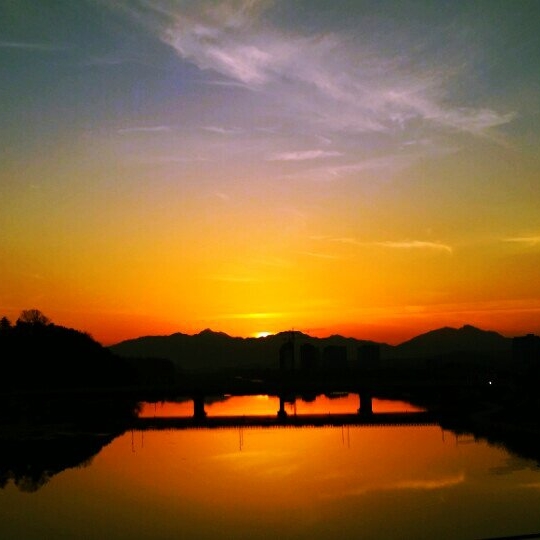 절대미각임셰프