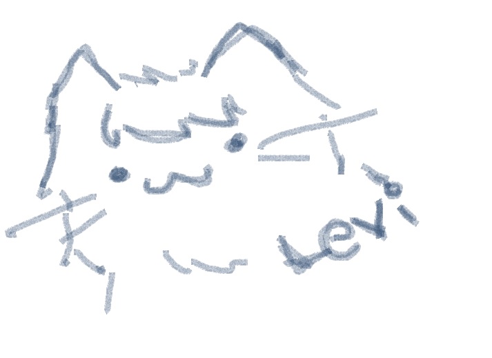 걸어다니는 레비