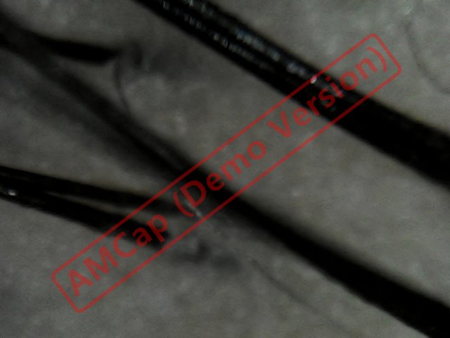 내꿈은사자갈퀴머리