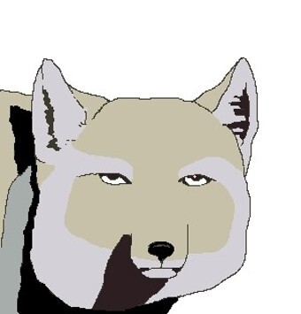 문시우 MSW