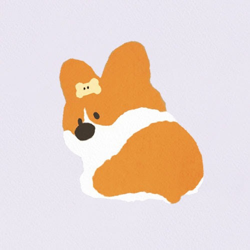제카123