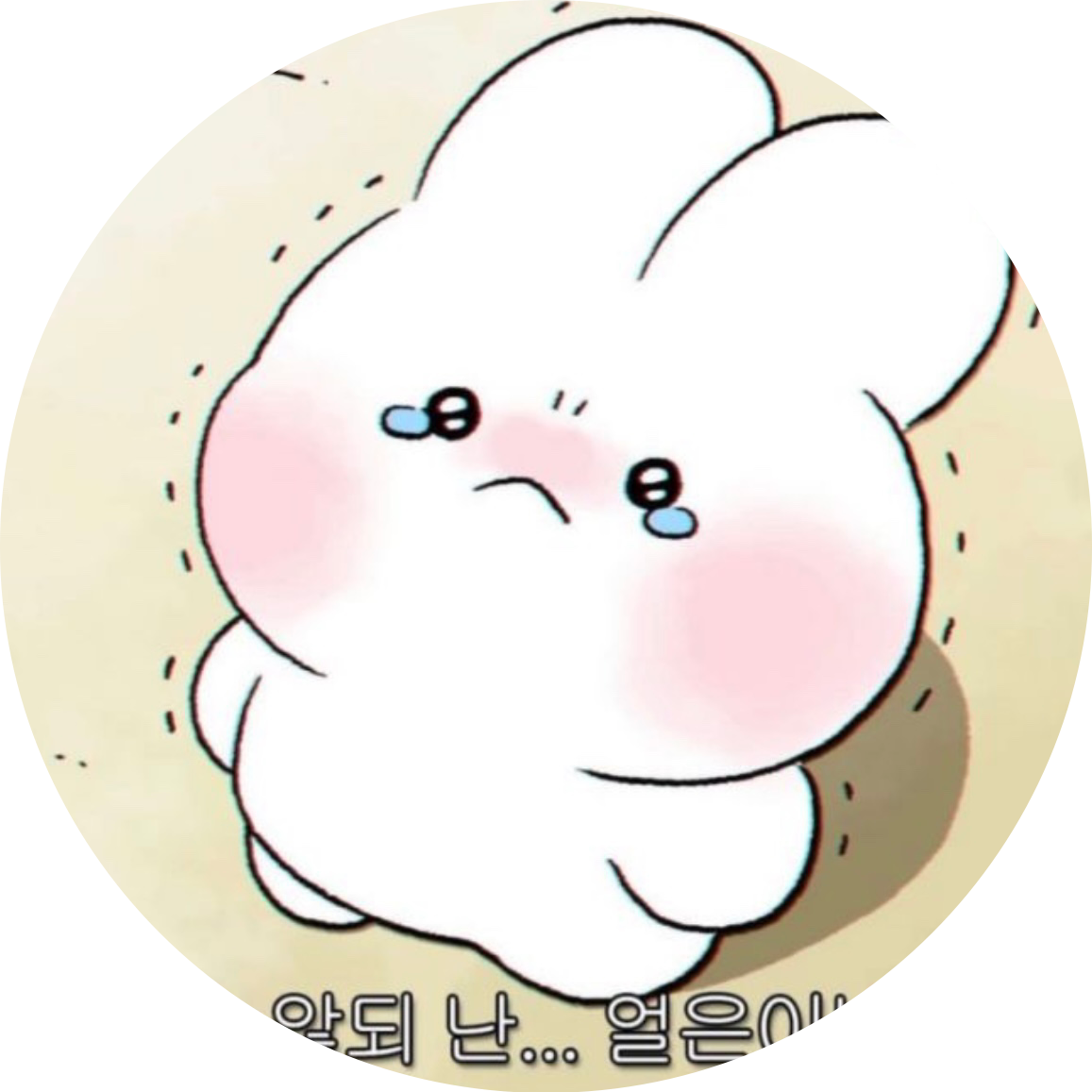 유서윤
